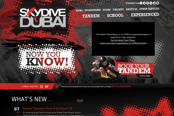 skydive theme websites examples