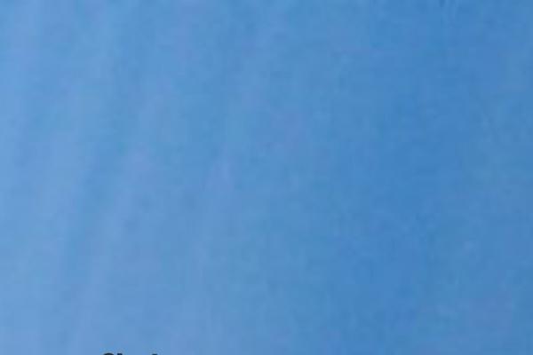 Site using Float to Top Button plugin