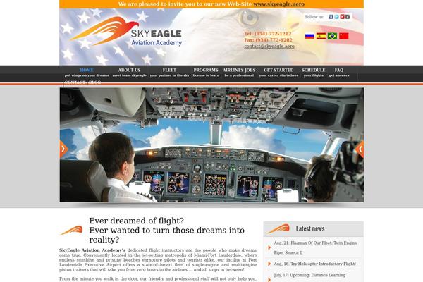 Snow Summit theme site design template sample