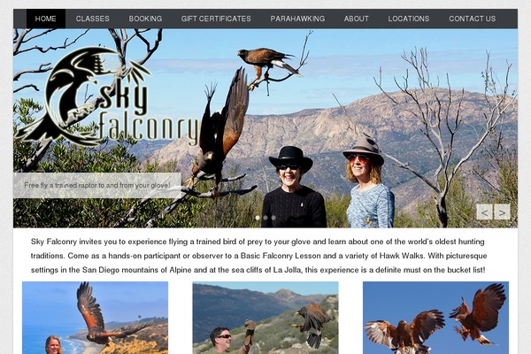 Catch Everest Pro theme site design template sample