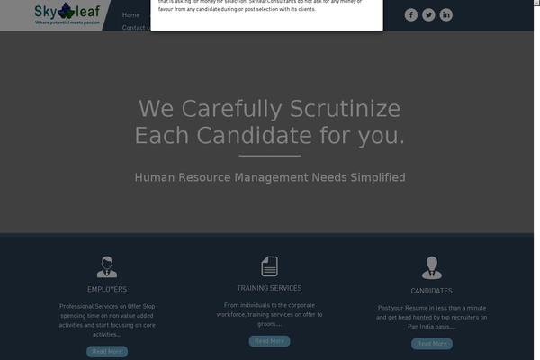 Site using WP Social Icons plugin