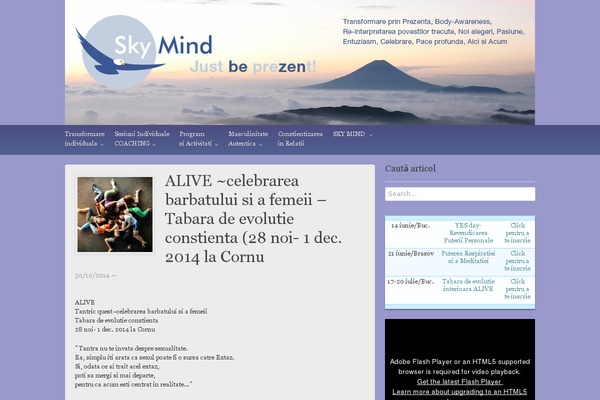 Site using Page View Count plugin