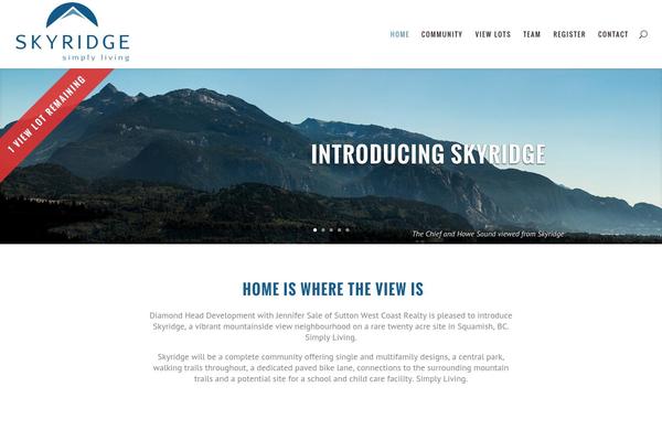 Site using Custom css-js-php plugin