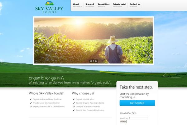 Versatile theme site design template sample