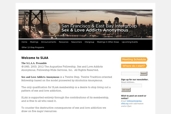 Site using MailChimp Widget plugin