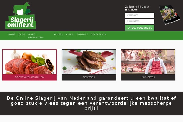 Phoenix theme site design template sample