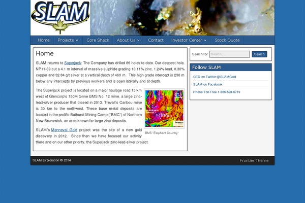Site using Custom-stock-widget plugin