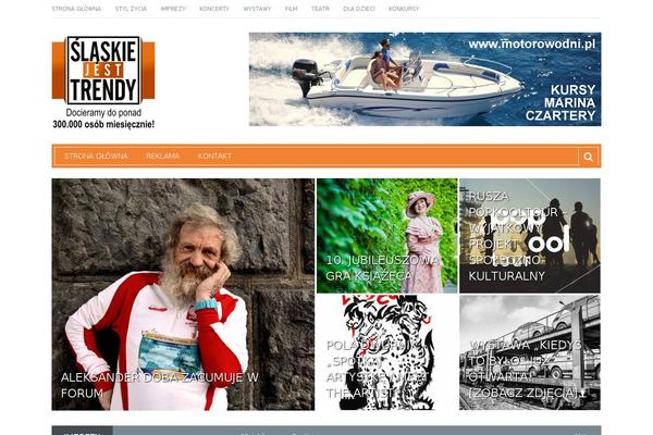 Site using Ad King Pro plugin