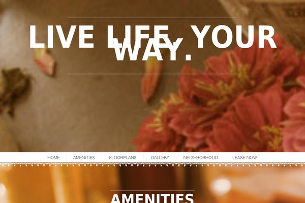 Scrn theme site design template sample