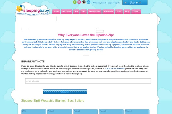 WordPress website example screenshot