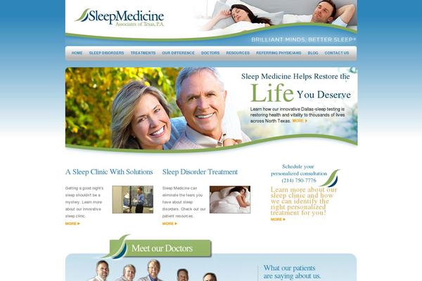 TheProfessional theme site design template sample