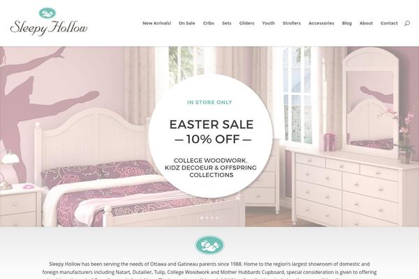 Divi Child theme site design template sample