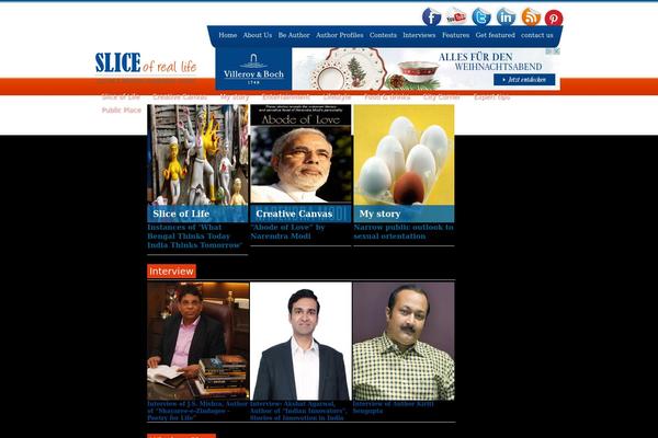 slice theme websites examples