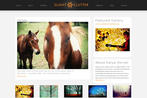 Site using iiRe Social Icons plugin