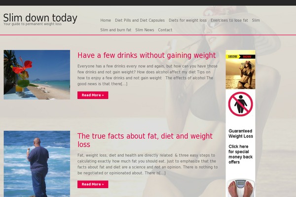 slim.co.za site used Webe46