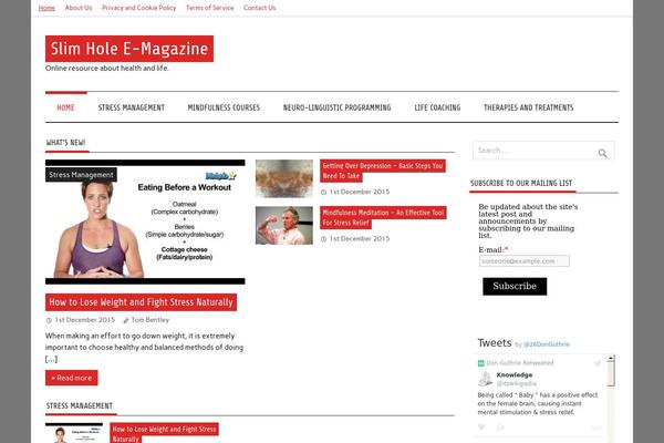 Anderson Lite theme site design template sample