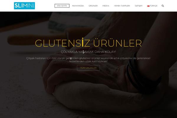 TheGem theme site design template sample
