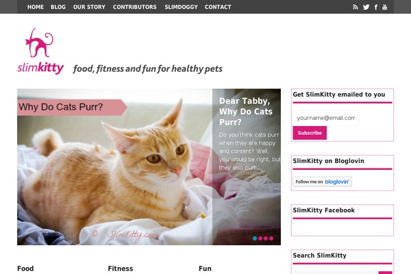 The Gossip theme site design template sample