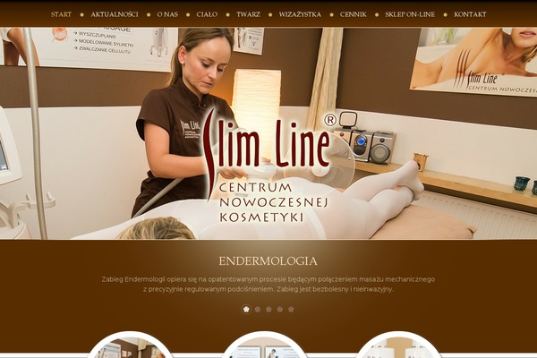 Pinnacle theme site design template sample