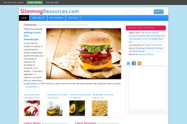 Lifestyle theme site design template sample