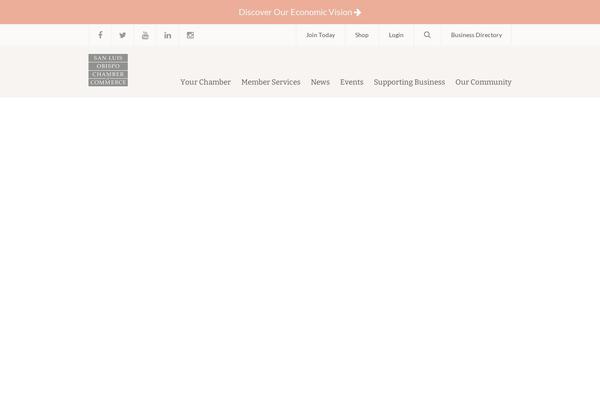 Total Child theme site design template sample