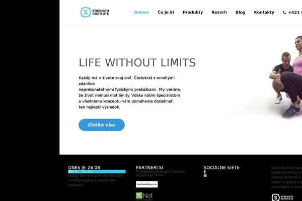 Symetrio theme site design template sample