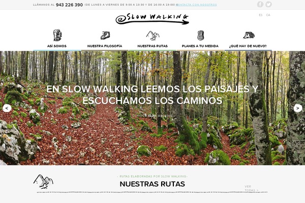 Html5blank-master theme site design template sample