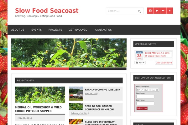 Dynamic News Lite theme site design template sample