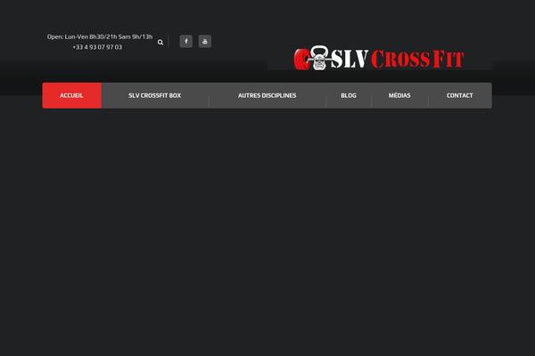 Ironfit theme site design template sample