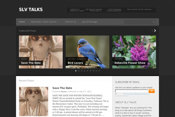 Insomnia theme site design template sample