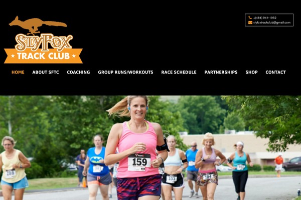 Venedor theme site design template sample