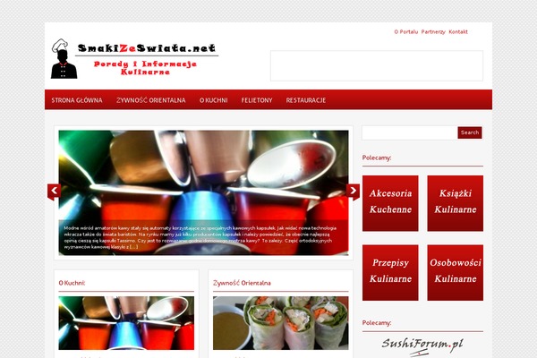 Cyberfolks theme site design template sample