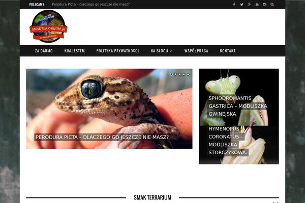 FlyMag theme site design template sample
