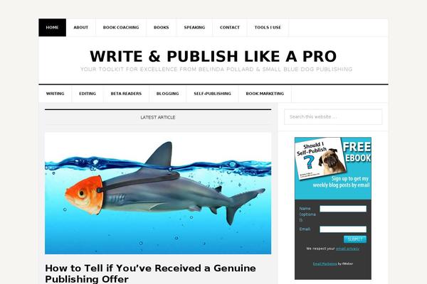 eightbit-standard-child-theme-kit-09a52dd theme websites examples