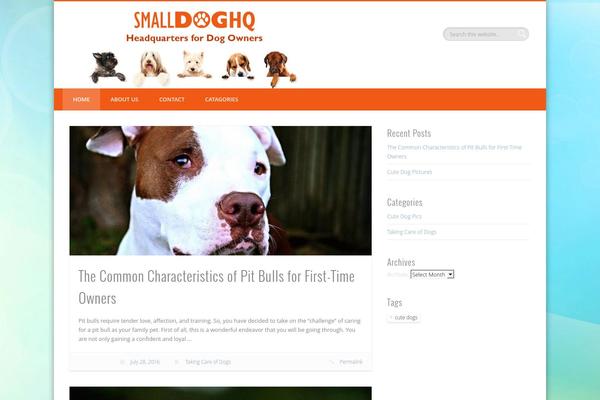 Site using Insert Headers and Footers plugin