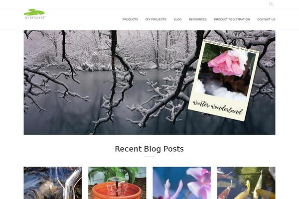 Skillful theme site design template sample