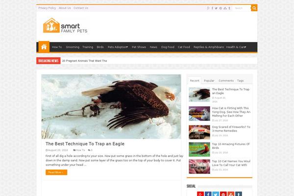 Astra Child theme site design template sample