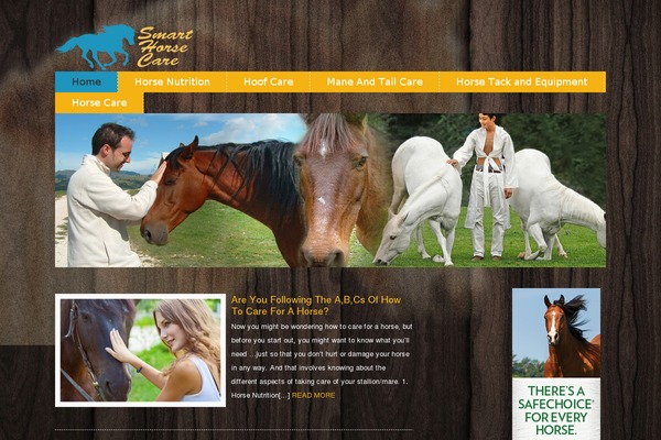 Sahifa theme site design template sample