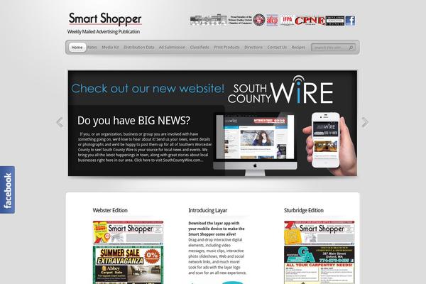 TheProfessional theme site design template sample