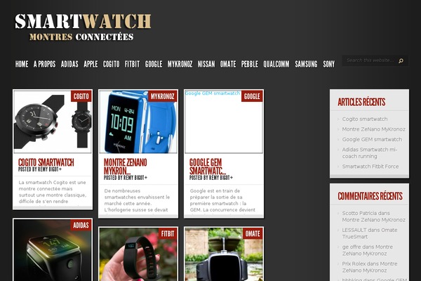 TheStyle theme site design template sample