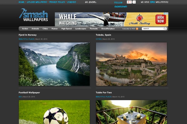 Gallery theme site design template sample