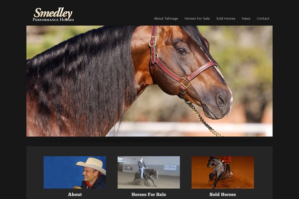 Alchemist theme site design template sample