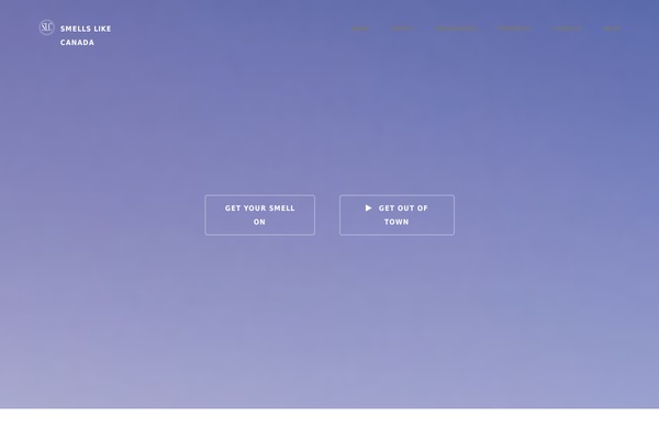 Momentum theme site design template sample