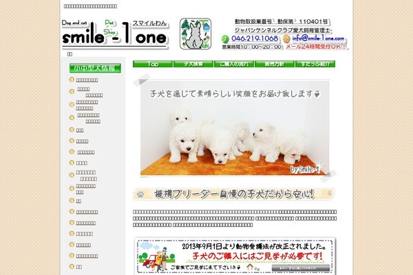 Stingerplus theme site design template sample