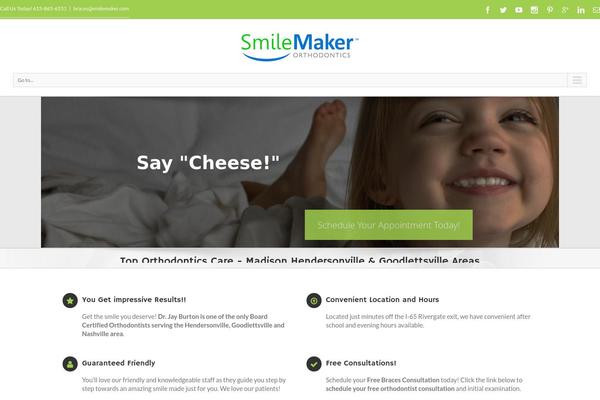 Brizy-starter-theme-master theme site design template sample