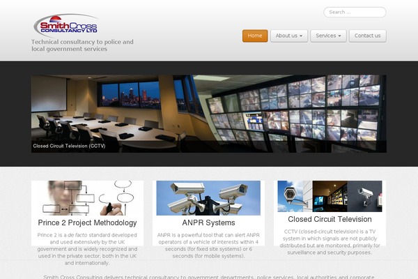 Business Pro 4 theme site design template sample