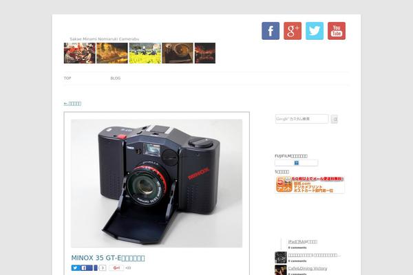 Site using Gianism plugin