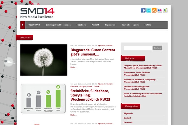 superflex theme websites examples