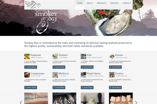 Site using FLV Embed plugin