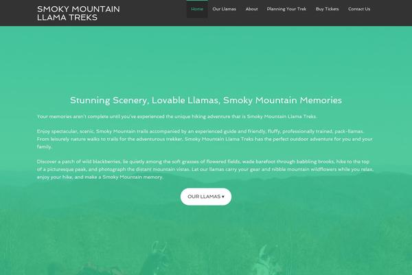 Agency Pro theme site design template sample
